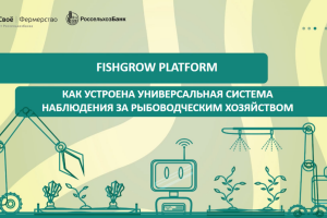 Систему FishGrow Platform представили на федеральной платформе Россельхозбанка