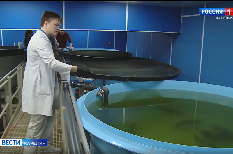 Репортаж о системе FishGrow вышел на ГТРК «Карелия»