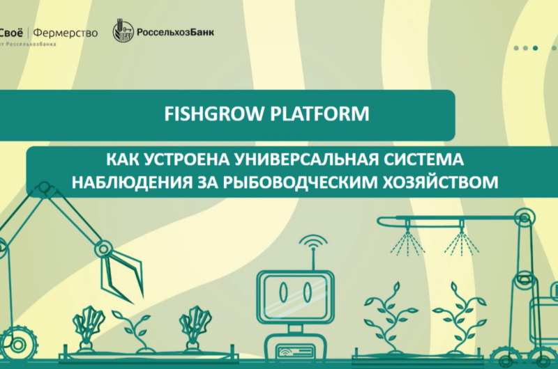 Систему FishGrow Platform представили на федеральной платформе Россельхозбанка